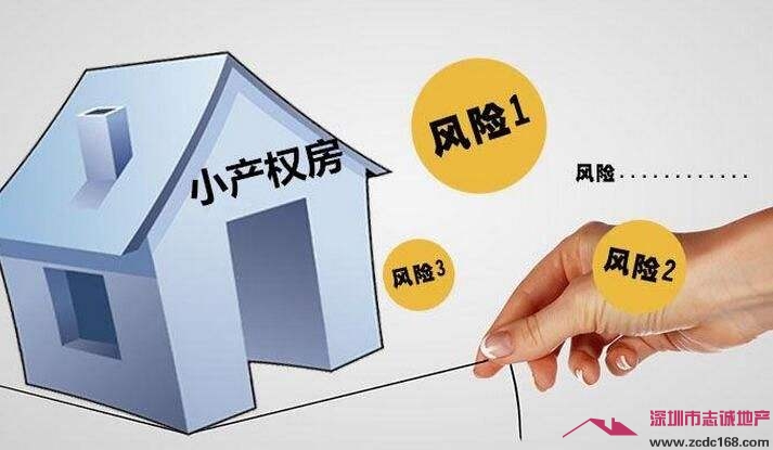 小产权房 小产权房