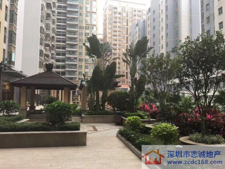 深圳小产权房