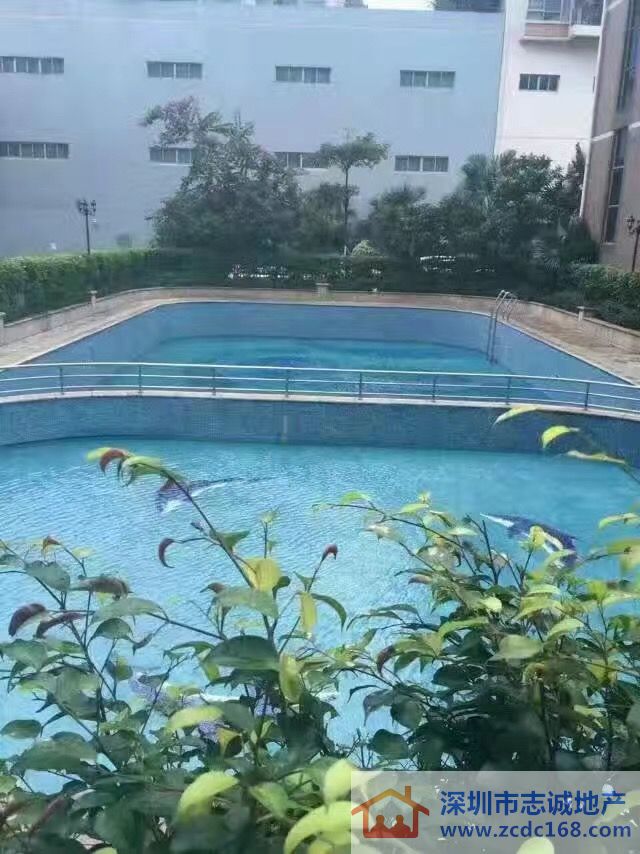 深圳小产权房