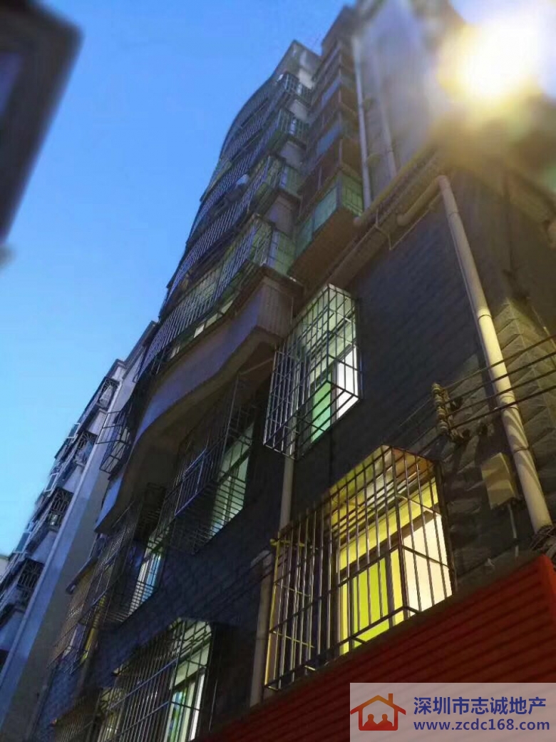 深圳小产权房