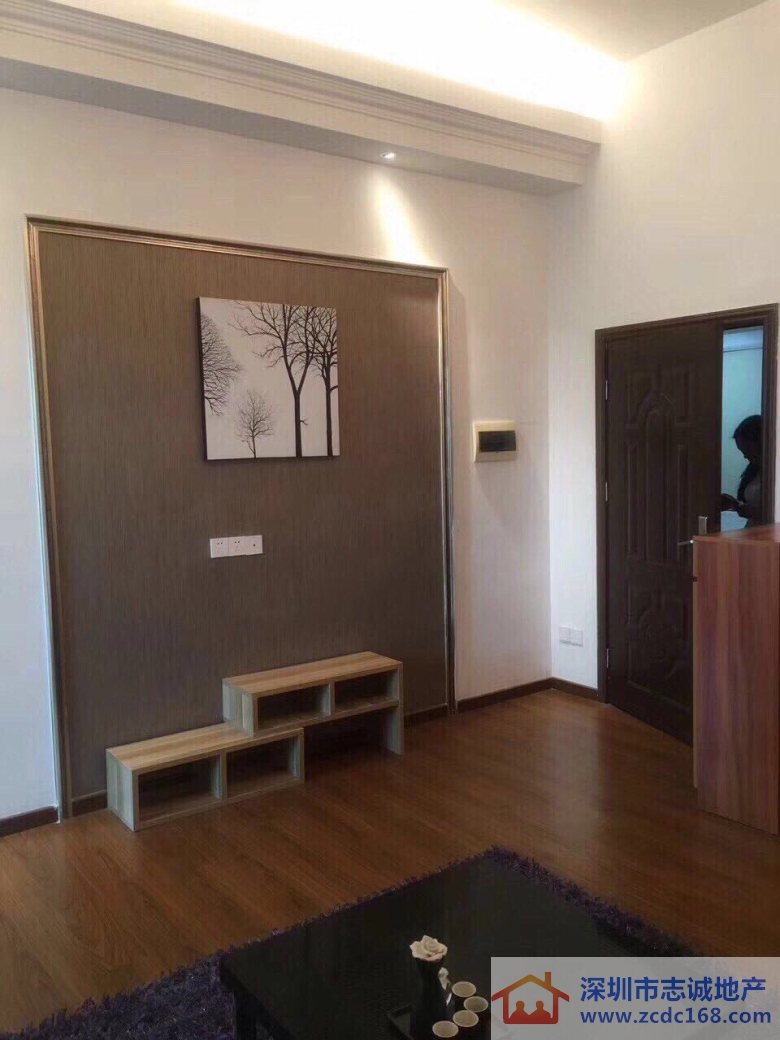 深圳小产权房
