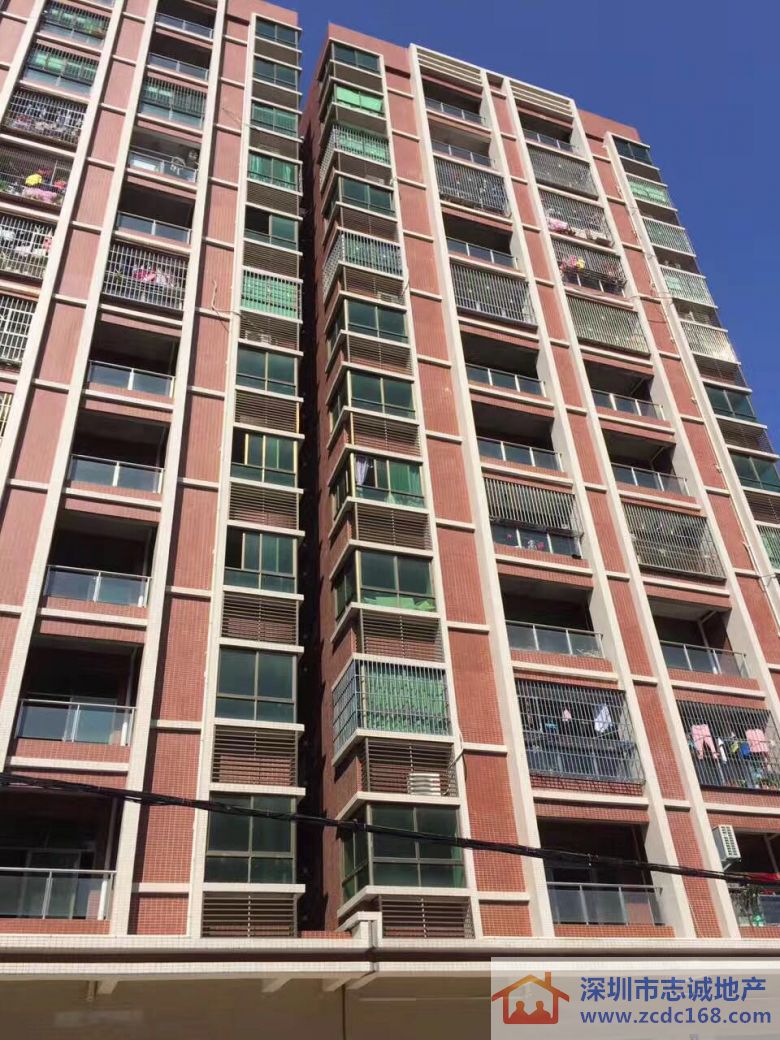 深圳小产权房