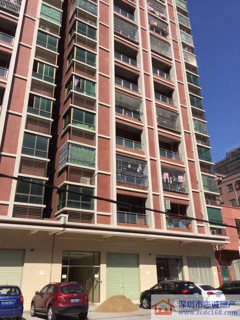 深圳小产权房