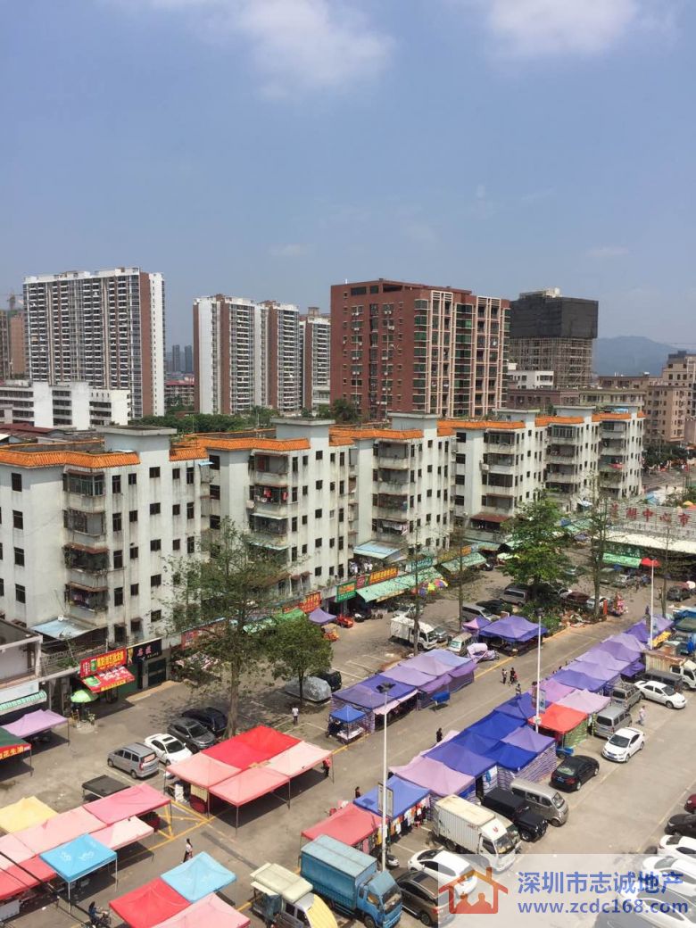 深圳小产权房