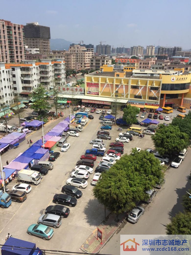 深圳小产权房