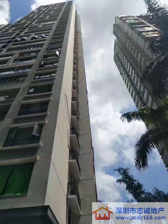 深圳小产权房