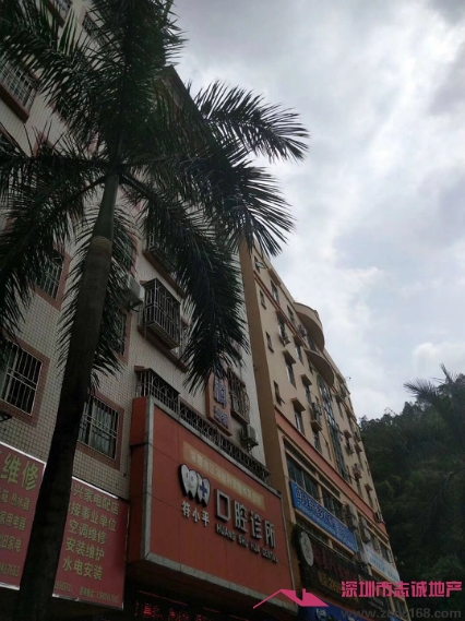 深圳小产权房 深圳小产权房