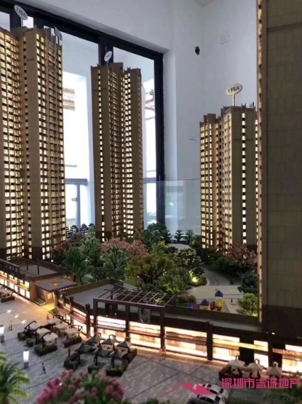 龙岗小产权房