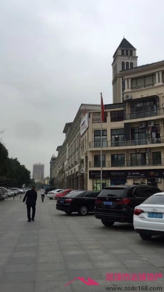 龙岗小产权房