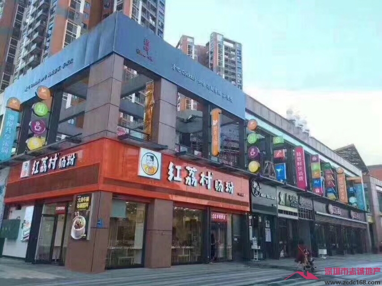 龙华小产权房